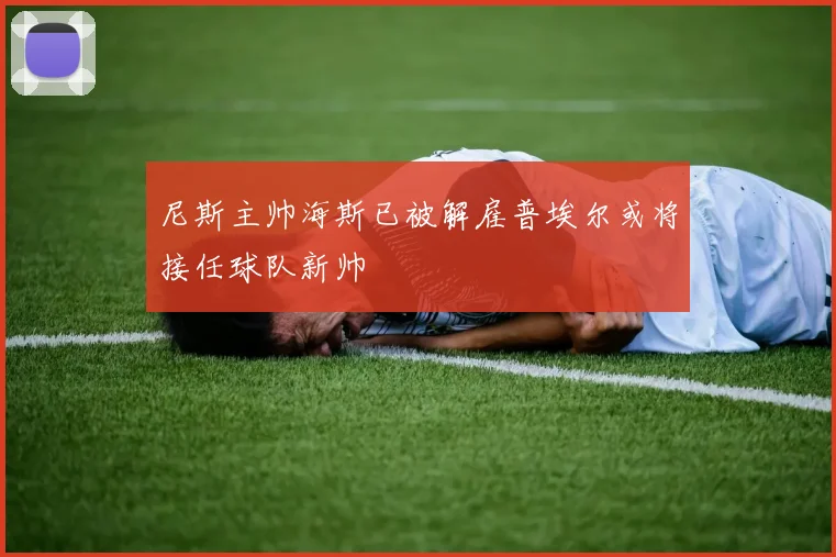 尼斯主帅海斯已被解雇普埃尔或将接任球队新帅