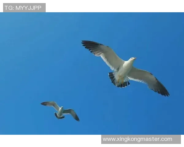 老的少的都不省心生活琐事中的烦恼与无奈如何找到平衡与解脱